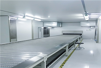 Automatic spraying flat conveyor line